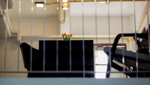 Une pièce avec un bureau noir, une chaise et un vase rempli de fleurs. Il y a une fenêtre avec des stores et un luminaire suspendu.