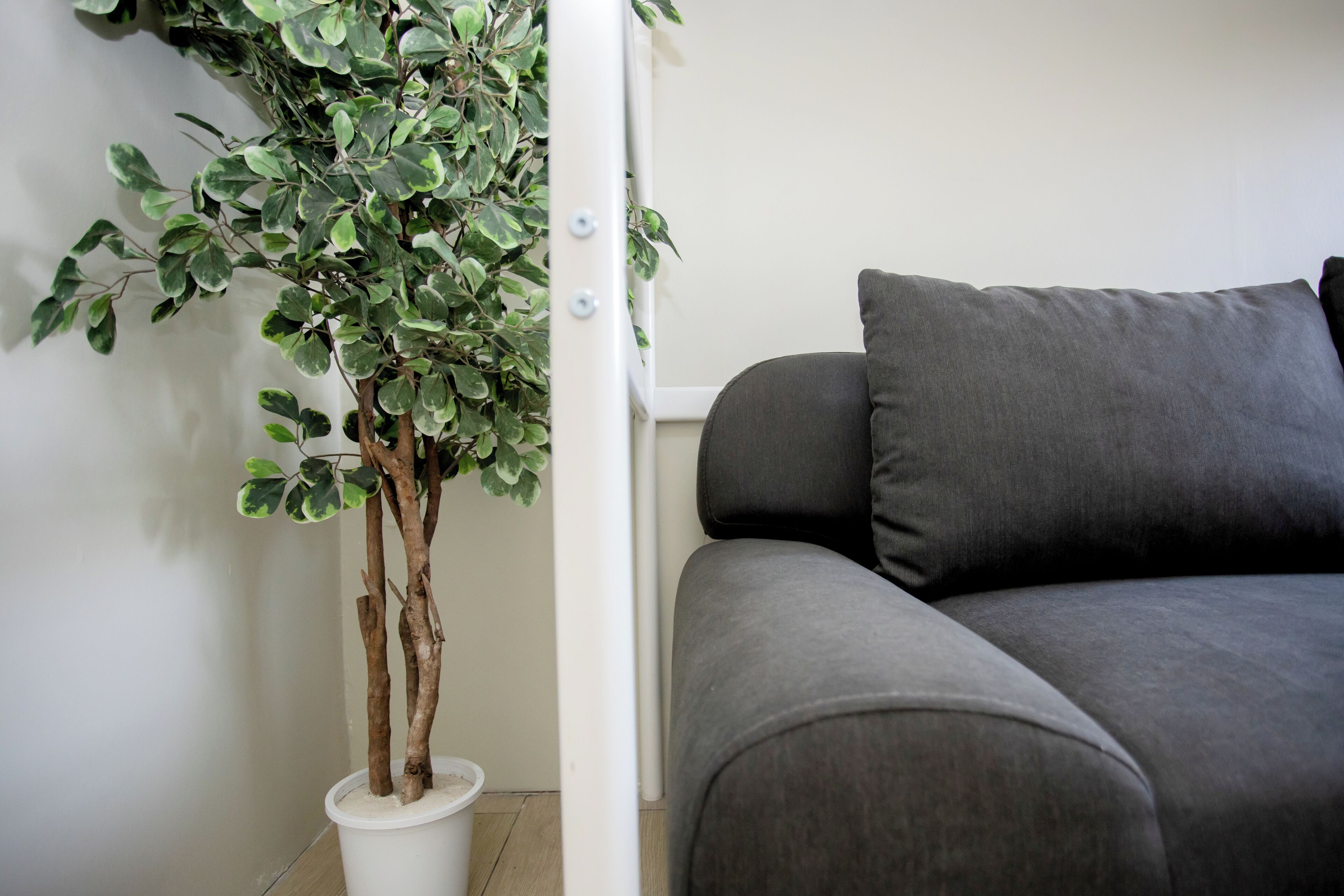 A grey sofa with a white column and a potted plant with green leaves.