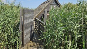 A wooden boardwalk leading to a thatched-roof structure surrounded by tall grass. - Mountains&Lakes - Romantika5 Rust (Rust)