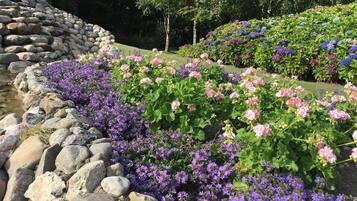 House | Property grounds