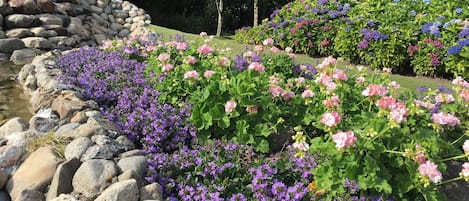 Ferienhaus | Unterkunftsgelände