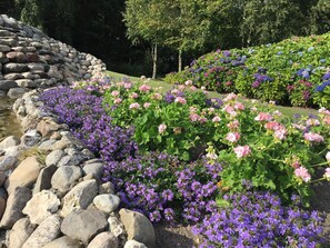 House | Property grounds - Charming Retreat in Ringkobing (Ringkobing)