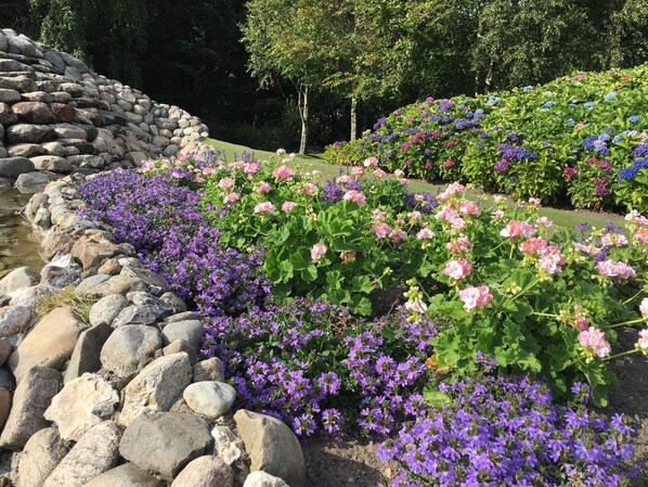 House | Property grounds