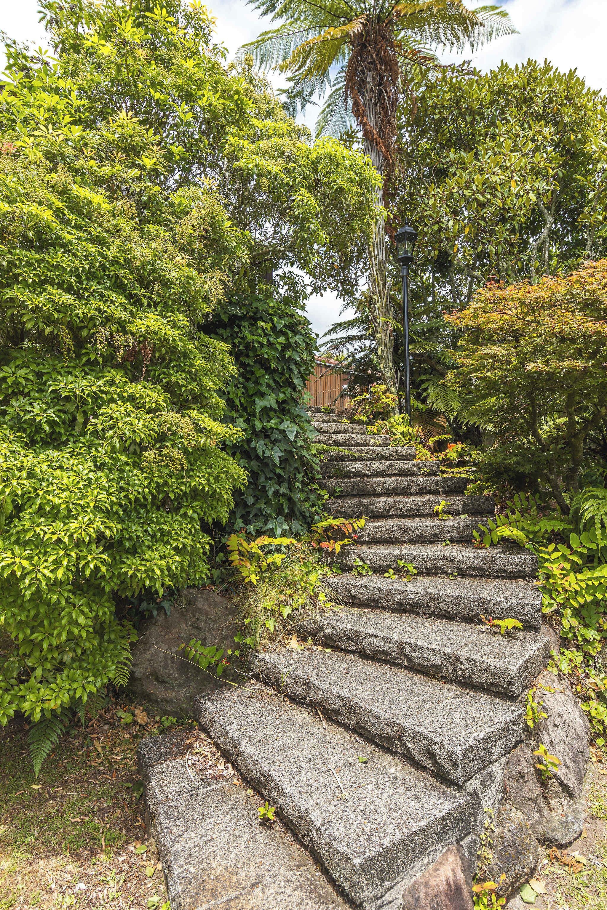 A stone staircase surrounded by lush greenery and a palm tree.
