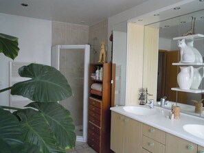 Hair dryer, towels, soap, toilet paper