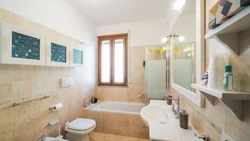 Shower, hair dryer, bidet, towels