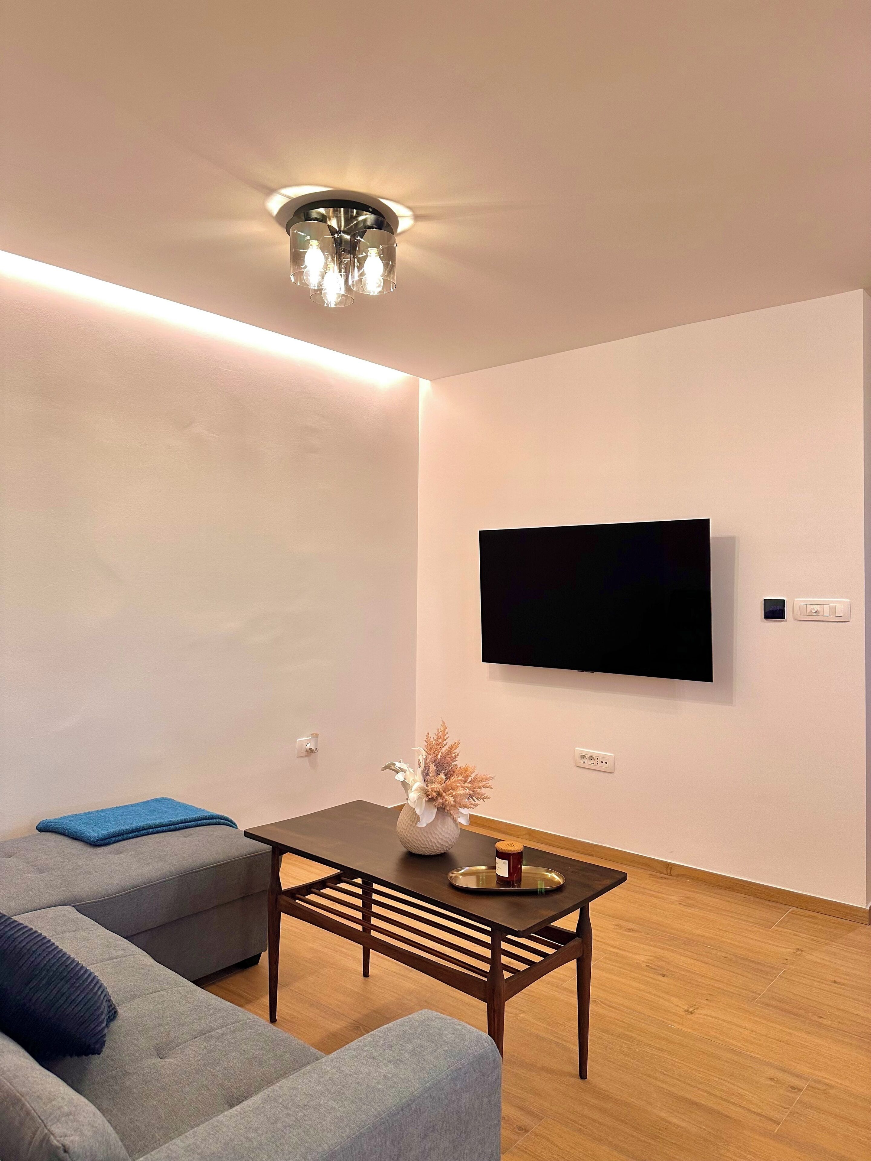 Televisión de pantalla plana