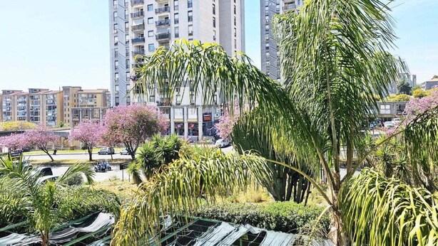 A residential area with tall apartment buildings, a parking lot, and lush greenery including palm trees and flowering plants. - Holiday home catania 5km from the center relaxation apartment complete kitchen
 (Sicilia)