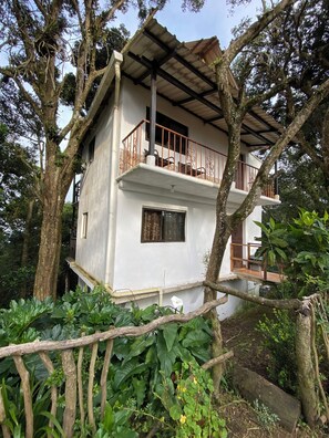 Exterior - The house in the forest (Ciudad de Guatemala)