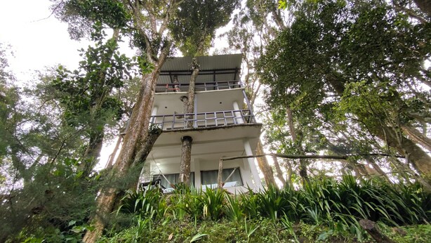 Um edifício de vários andares rodeado por vegetação densa.