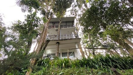 Exterior. The house in the forest
