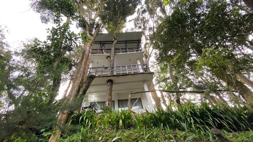 The house in the forest