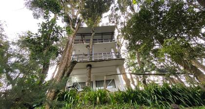 The house in the forest