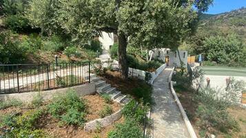 Terrein van de accommodatie