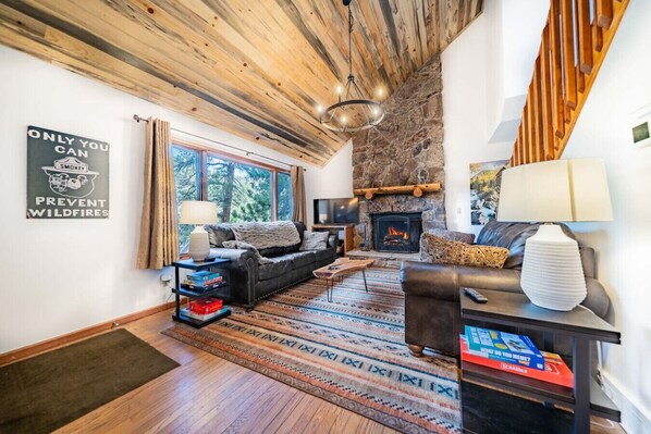 TV, fireplace, DVD player