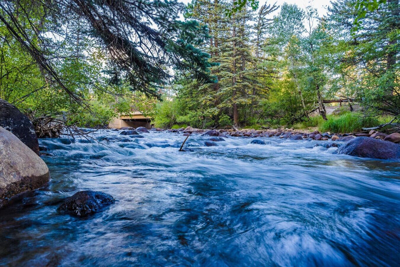 Un río que serpentea por un bosque con rocas y árboles.