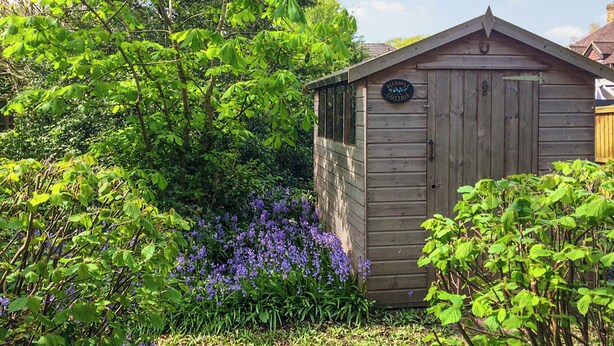 Un abri en bois, sur lequel on peut lire l’inscription « Bluebell Cottage », est entouré d’une végétation luxuriante et de fleurs violettes.
