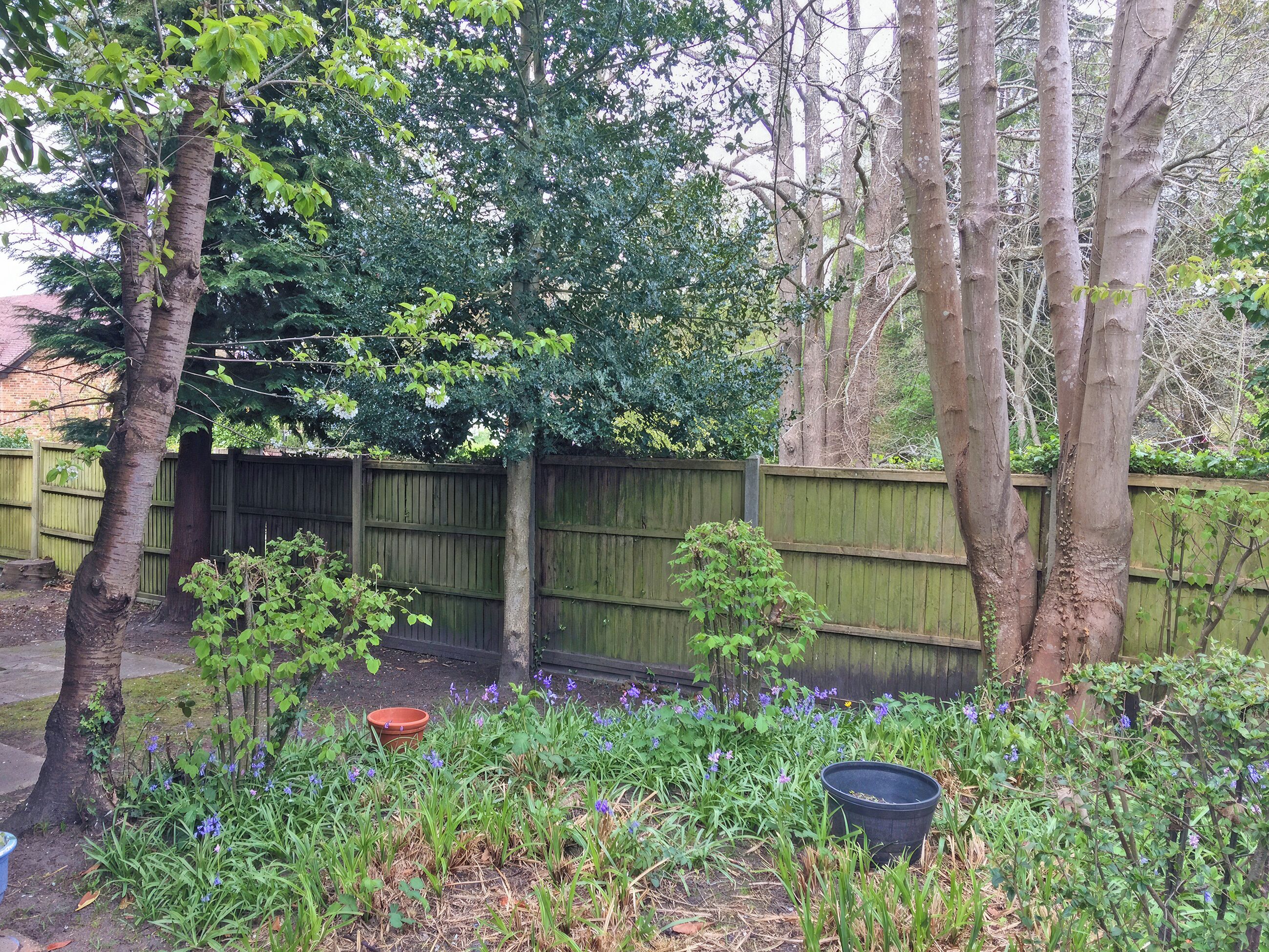 Garden | 5 Rose Cottages, Little Sandhurst