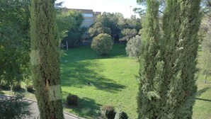 A well-maintained grassy area with tall trees and a building in the background. - Cozy apartment for two to four people near the Auditorium in Rome (Roma)