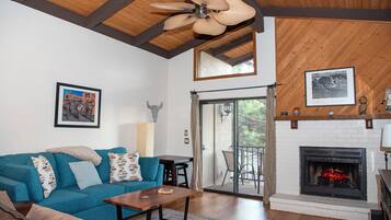 Smart TV, fireplace, DVD player, books