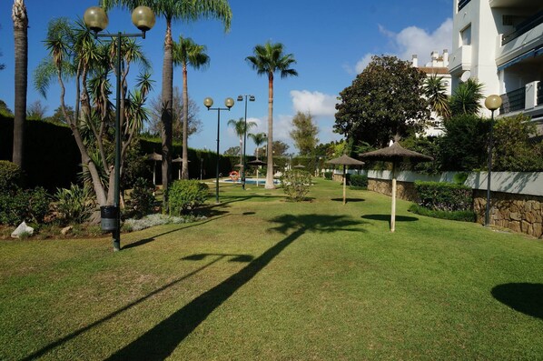 Unclassified image, 1 of 38, button