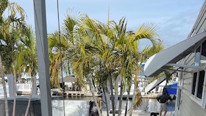 A covered outdoor area with a pool, palm trees, and a staircase leading to a deck. - 3-bedroom mobile home in soothing Key Largo with WiFi, AC (Key Largo)