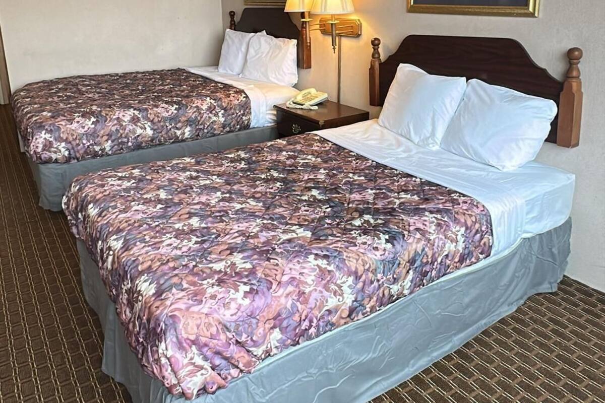 Habitación básica con 1 cama matrimonial o 2 individuales | Wifi gratis 
