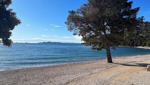 A pebble beach with a large tree and a clear view of the sea. - BUQEZ ECO RESORT - Villa 47 with breathtaking panoramic views directly on the beach. (Pakoštane)