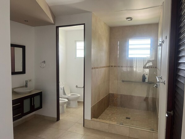 Hair dryer, bidet, towels, soap