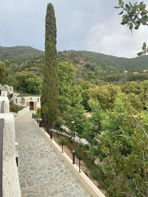 Property grounds - VACATIONS BY THE SEA (Le Lavandou)