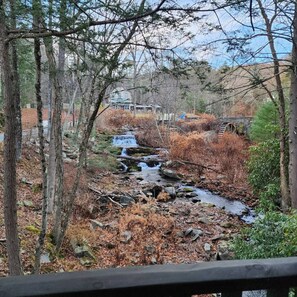 View from property - Romantic Creekside Lodge with Private Hot Tub (Milford)
