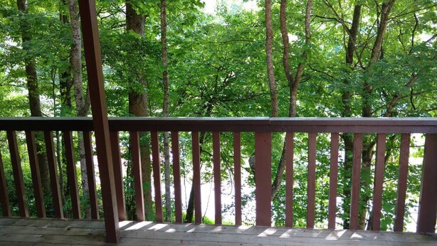 Une terrasse en bois dotée de balustrades verticales, qui offre une vue sur une forêt dense.