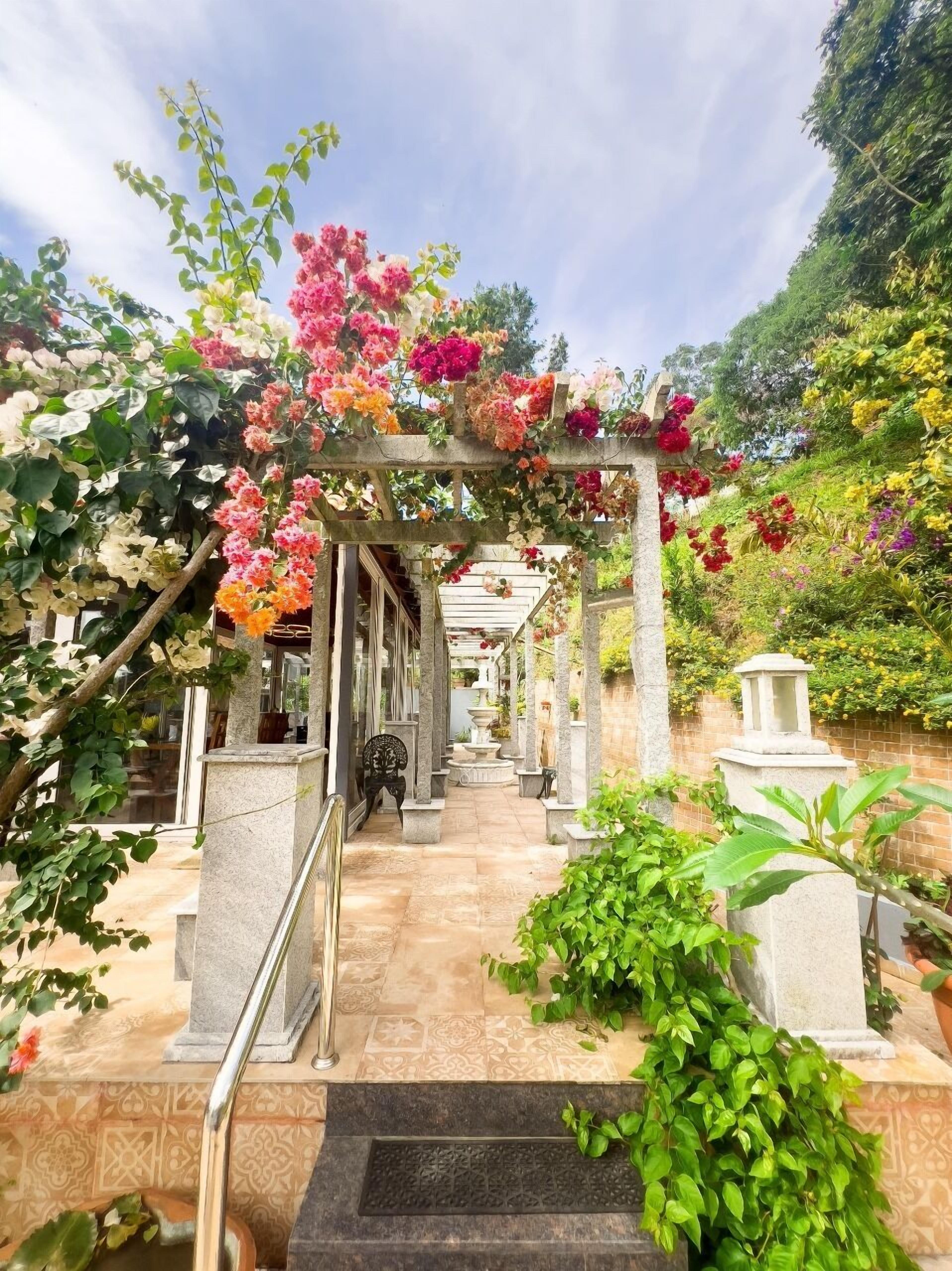 A garden pathway with a pergola covered in flowers, leading to a building with a fountain.