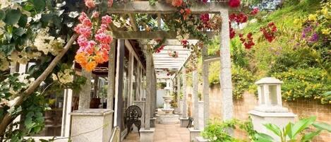 A garden pathway with a pergola covered in flowers, leading to a building with a fountain.