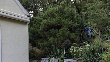 Eine Terrasse im Freien mit Tisch und Stühlen, umgeben von Grünpflanzen und einer Gebäudewand.