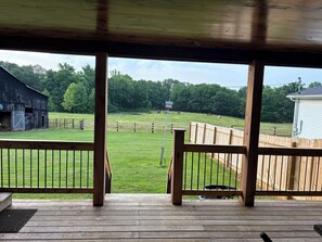 Terrace/patio - Charming 3-bedroom house located walking distance to Shady Cliff, Lake Malone. (Lewisburg)