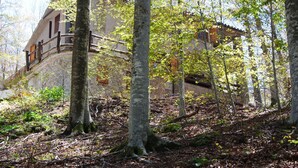 Uklassifisert bilde, 3 av 34, knapp
