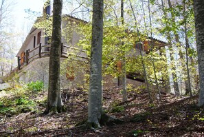 Exterior - House in the Woods at Macinaie, quiet and nature. (Castel del Piano (Gr))
