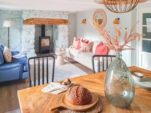 TV, fireplace - 2 bedroom accommodation in Bodmin (Bodmin)