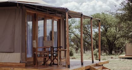 Conserve Safari Serengeti