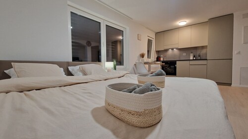 Queen-size bed, top-equipped workplace, free parking space