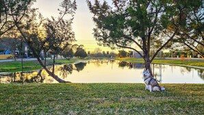 Un parque con un estanque, árboles y un perro.