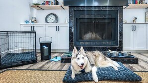 Una cocina moderna con estufa negra, armarios blancos y un perro descansando sobre una alfombra azul.