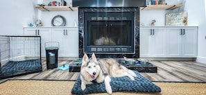 Una cocina moderna con estufa negra, armarios blancos y un perro descansando sobre una alfombra azul.