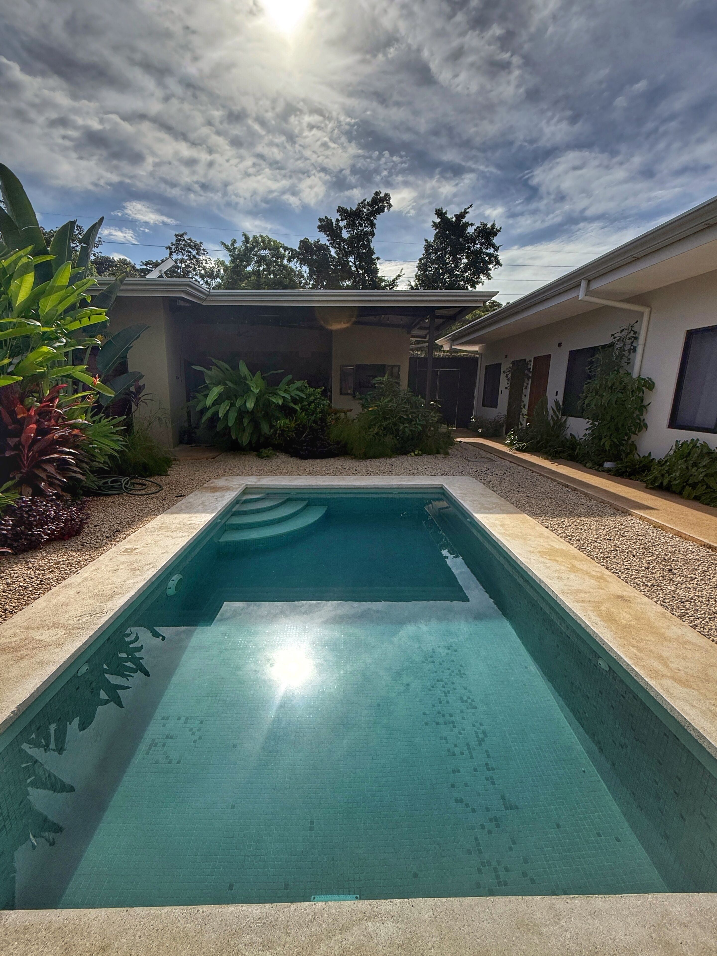 A swimming pool with a tiled deck, surrounded by a garden with various plants and a building in the background.