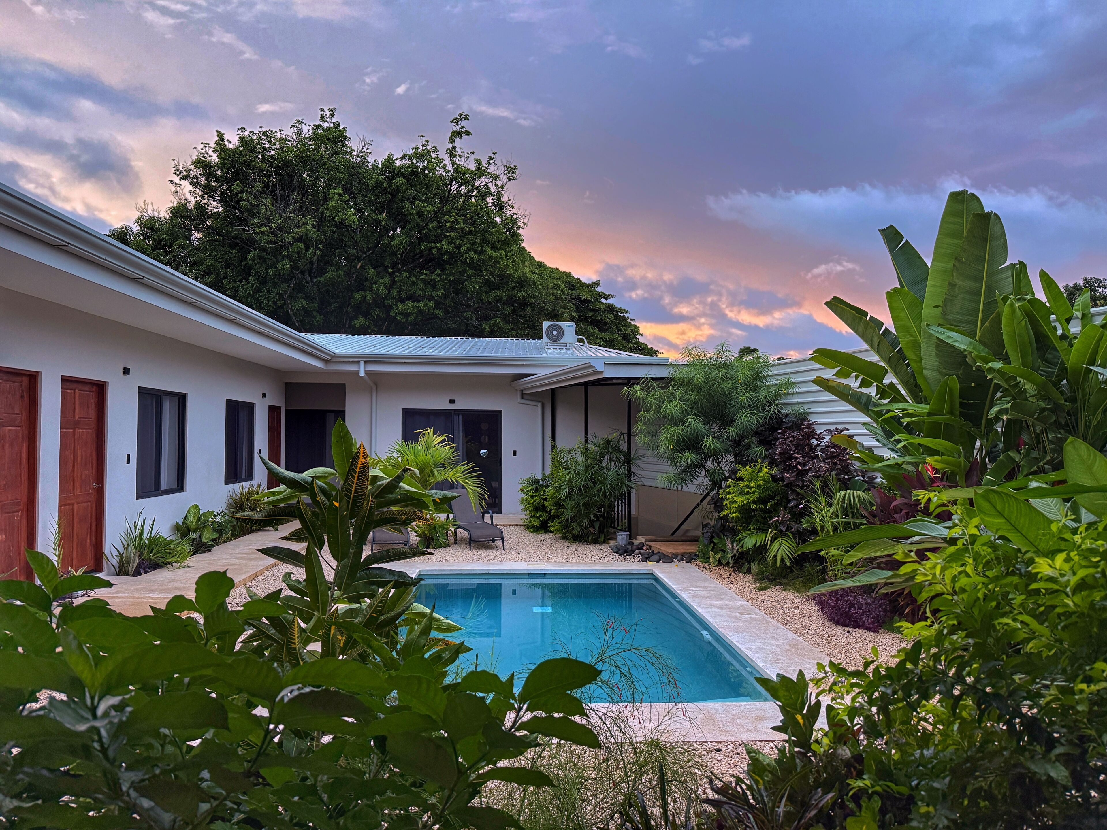 A modern house with a swimming pool, surrounded by lush greenery and a large tree.