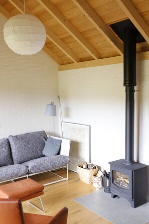 TV connectée, cheminée