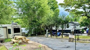 Un terrain de camping équipé d’une table de pique-nique, de deux camping-cars et d’un espace de pique-nique abrité.