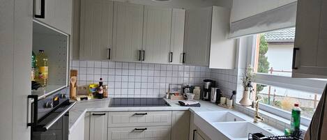 Kühlschrank, Ofen, Herdplatte, Geschirrspüler