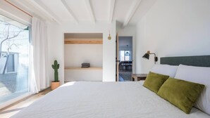 A modern bedroom with a large bed, a cactus plant, and a view of the outdoors.